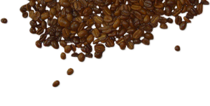 Coffee beans PNG image-9296